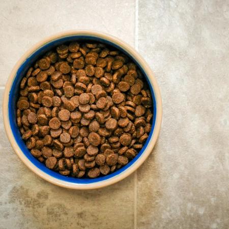 Slow Feeder Bowl